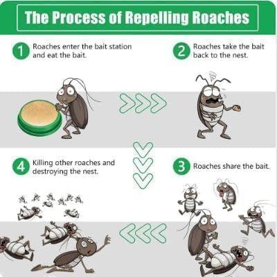 Cockroach Killer Roach Gel 12 Pcs (BUY 1 GET 1 FREE)