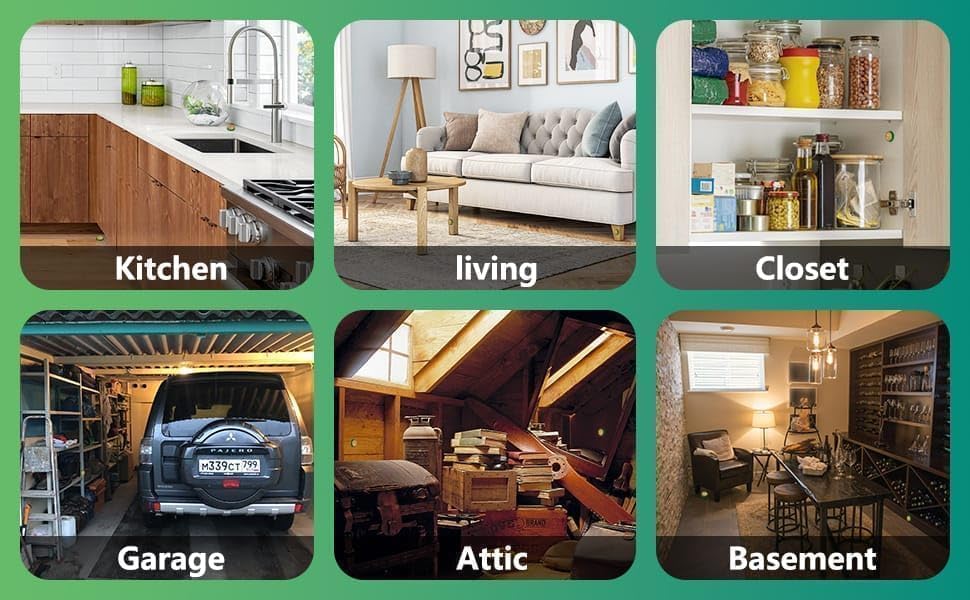 Cockroach Killer Roach Gel 12 Pcs (BUY 1 GET 1 FREE)